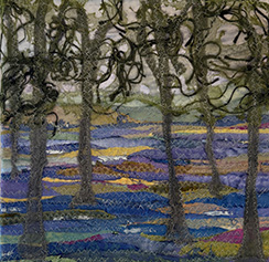 Bluebell Wood