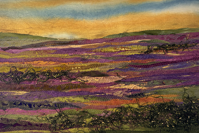 Gorse on the Moor